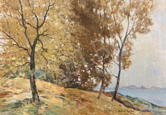 For sale Halvax, Gyula - Fall on the shores of Lake Balaton, with Szigliget in Badacsony in the background 's painting