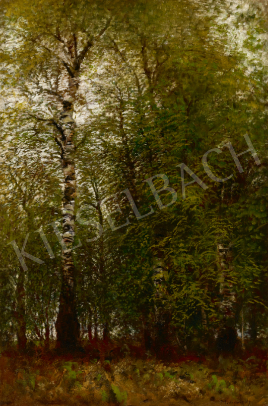  Mednyánszky, László - Birch Grove | 67th Auction auction / 68 Lot