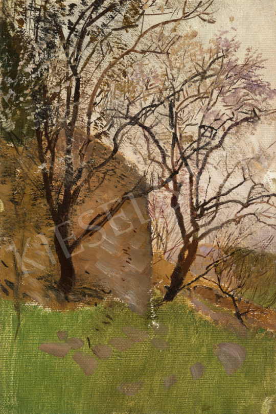  Mednyánszky, László - Landscape with Trees | 67th Auction auction / 116 Lot