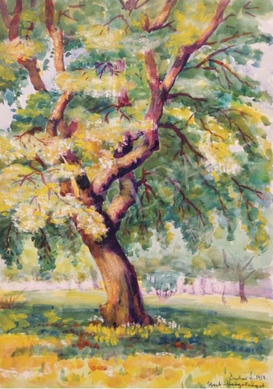 Eladó  Ember János - Margitszigeti fák 1958 festménye