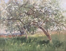 Neogrády Antal - Virágzó almafa 