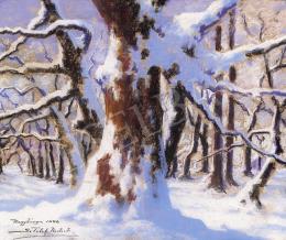 Sztelek, Norbert - Winter in the Nagybánya Forest 