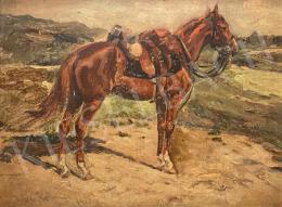 festő  Wilhelm Höhnel - Felnyergelt ló a pusztán 1913  