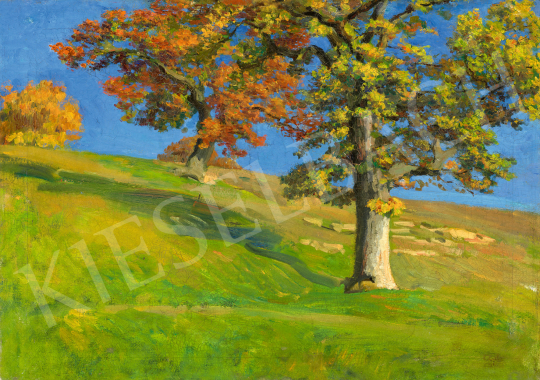  Glatz, Oszkár - Sunshine of September (Transylvanian Landscape), 1905 | 68th Auction auction / 13 Lot