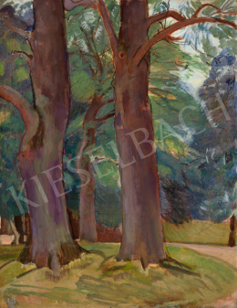  Réth Alfréd - Park  