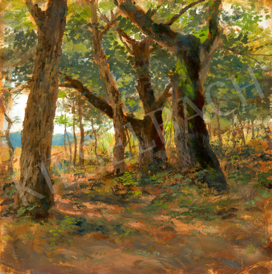 Deák Ébner, Lajos - Glade in the Forest | 68th Auction auction / 148 Lot