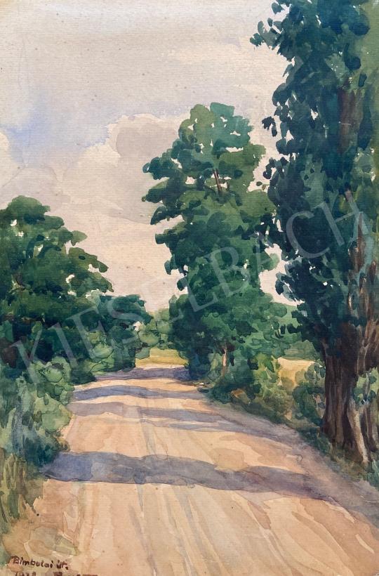 Eladó Ismeretlen festő - Árnyas út 1928 ( Bimbolai út)  festménye