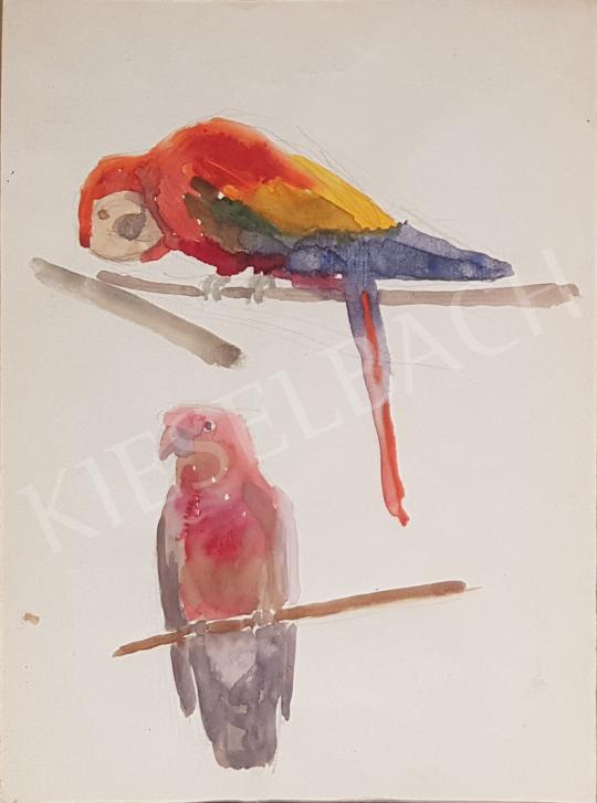 Eladó Bor Pál - Színes papagájok  festménye