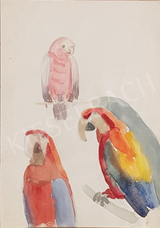 Eladó Bor Pál - Papagáj tanulmányok festménye