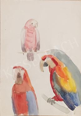 Bor, Pál - Parrot studies 