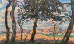 Dinnyés, Ferenc - Sunny landscape 