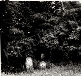 Váli Dezső - Tolcsvai sírkövek 1983 