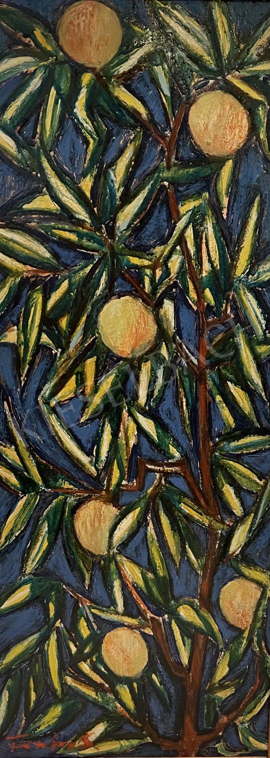 Eladó  Fontos Sándor - Narancsfa kék égbolt előtt (Retro gyümölcs) festménye