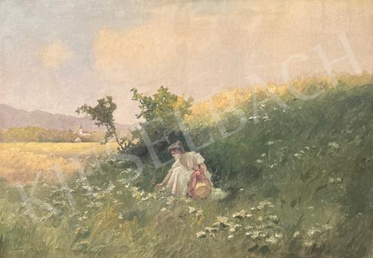 For sale Neogrády, Antal -  Girl picking flowers 's painting