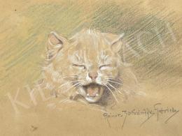 Rainerné-Istvánffy, Gabriella - Yawning cat 