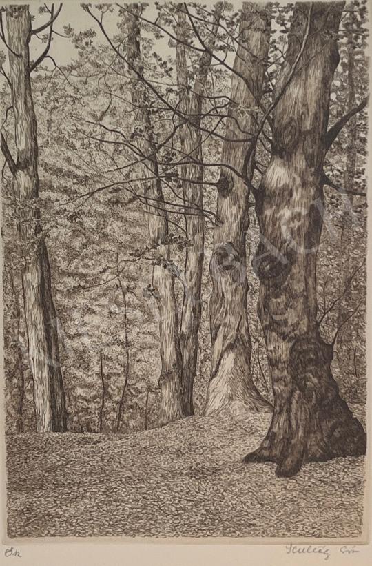  Éva Skultéty - Autumn painting