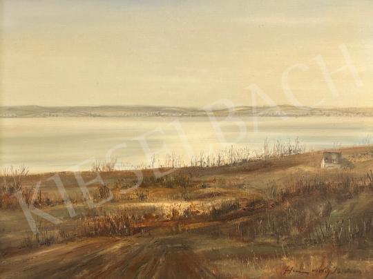 For sale Hunyady, István -  Balaton panorama 's painting