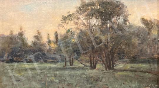 For sale  Edvi Illés, Aladár - Early morning lights on the clearing 's painting