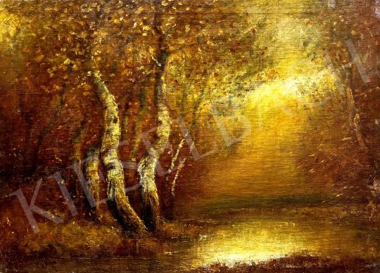 Eladó Albert Ferenc - Őszi erdő arany fényben  festménye