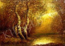 Albert, Ferenc - Autumn forest in golden light 