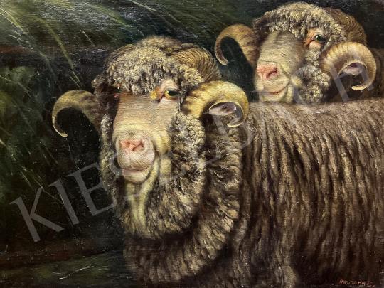 Eladó Ismeretlen festő - Bárányok festménye
