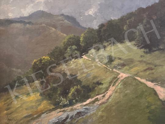 For sale Neogrády, Antal - Mountain landscape 's painting