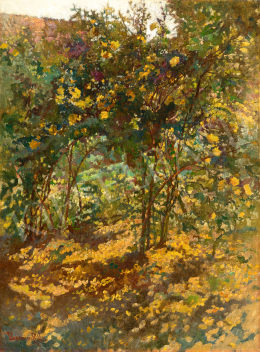 Boemm Ritta - Nyári impresszió, 1910 körül 