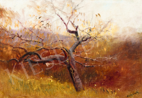  Mednyánszky, László - Lonly Tree on a Hilltop | 69th auction auction / 191 Lot