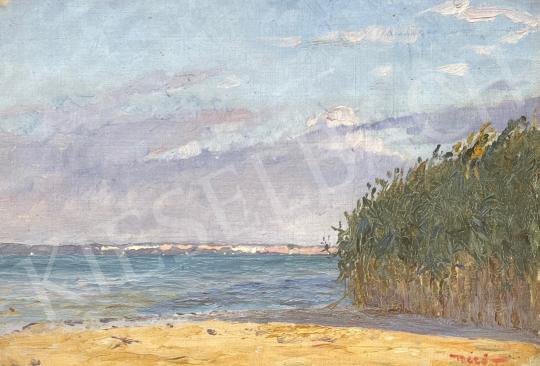 For sale Mérő, István -  Waterside reeds 's painting