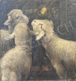 Bálint, Árpád -  Lambs (Hommage to Béla Pállik) 