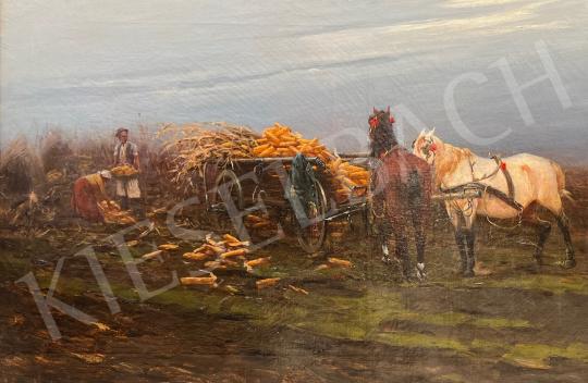  Pataky, László -  Corn break painting