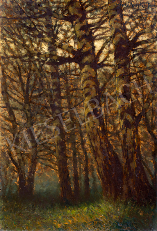 Szepesi Kuszka, Jenő - Deep in the Forest | 70th auction auction / 119 Lot