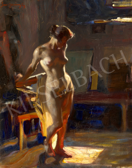 Szentistvány, Gyula - Light of the Setting Sun in the Studio 