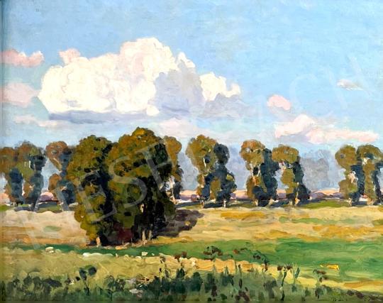 For sale  Bosznay, István - Cloudburst 1916  's painting