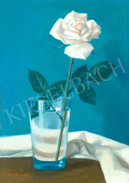 Mácsai István - Fehér rózsa, 1970-es évek 