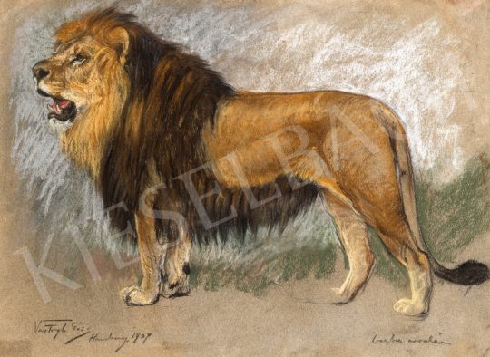  Vastagh, Géza - Lion, 1909 | 71st Spring auction auction / 35 Lot