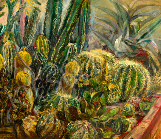  Kernstok Károly - Kaktuszok (Télikert), 1924 körül | 71. Tavaszi aukció aukció / 67 tétel