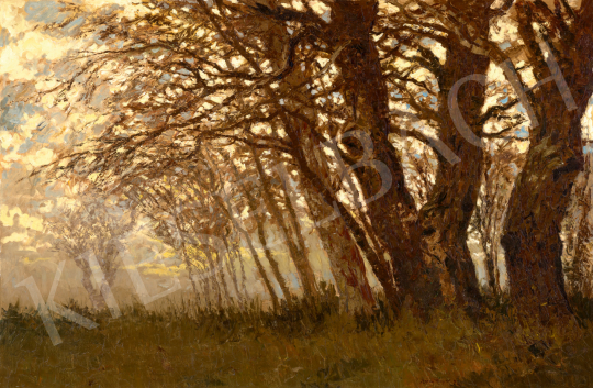 Szepesi Kuszka, Jenő - Lights in the Trees | 71st Spring auction auction / 185 Lot