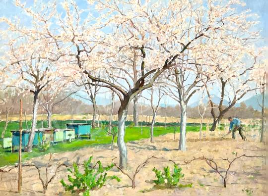 For sale Vidovszky, Béla - Flowering trees  's painting