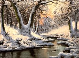 Neogrády, László - Winter creek bank  