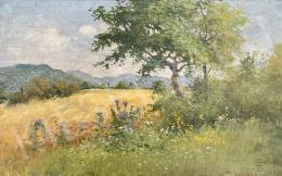 Zorkóczy, Gyula - Sunny landscape  