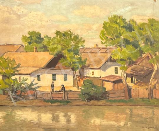 For sale Kléh, János - Tisza bank in Szolnok 's painting