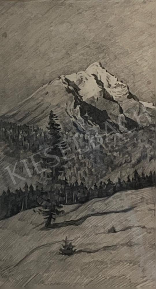 For sale  Szőnyi, István - Snowy peak with pine trees, 1915  's painting