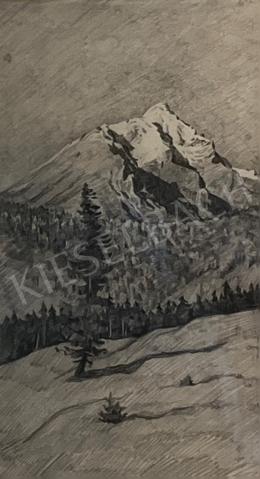  Szőnyi, István - Snowy peak with pine trees, 1915  