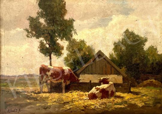 For sale  Edvi Illés, Aladár - Cows grazing  's painting