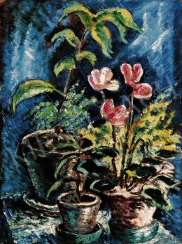 Schadl, János - Still - Life with Cyclamen 