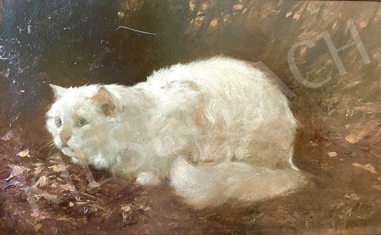 For sale Heyer, Artur, - Cat 's painting