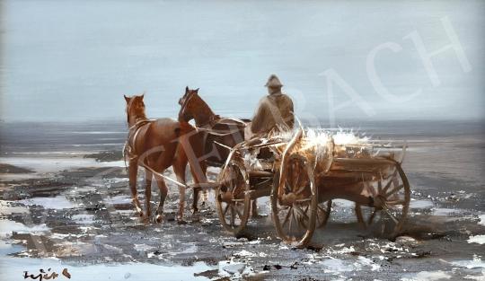  Fejér, Csaba - Cart painting