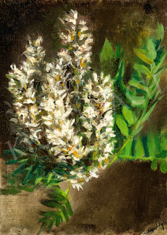  Mednyánszky, László - Blooming White Acacia painting