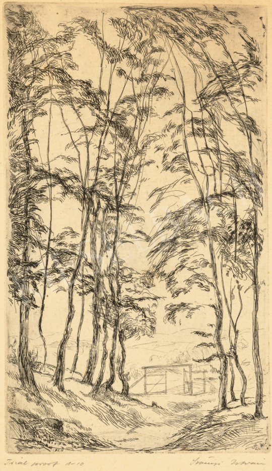  Szőnyi, István - Forest Detail with a Gate (Trees), 1925 painting